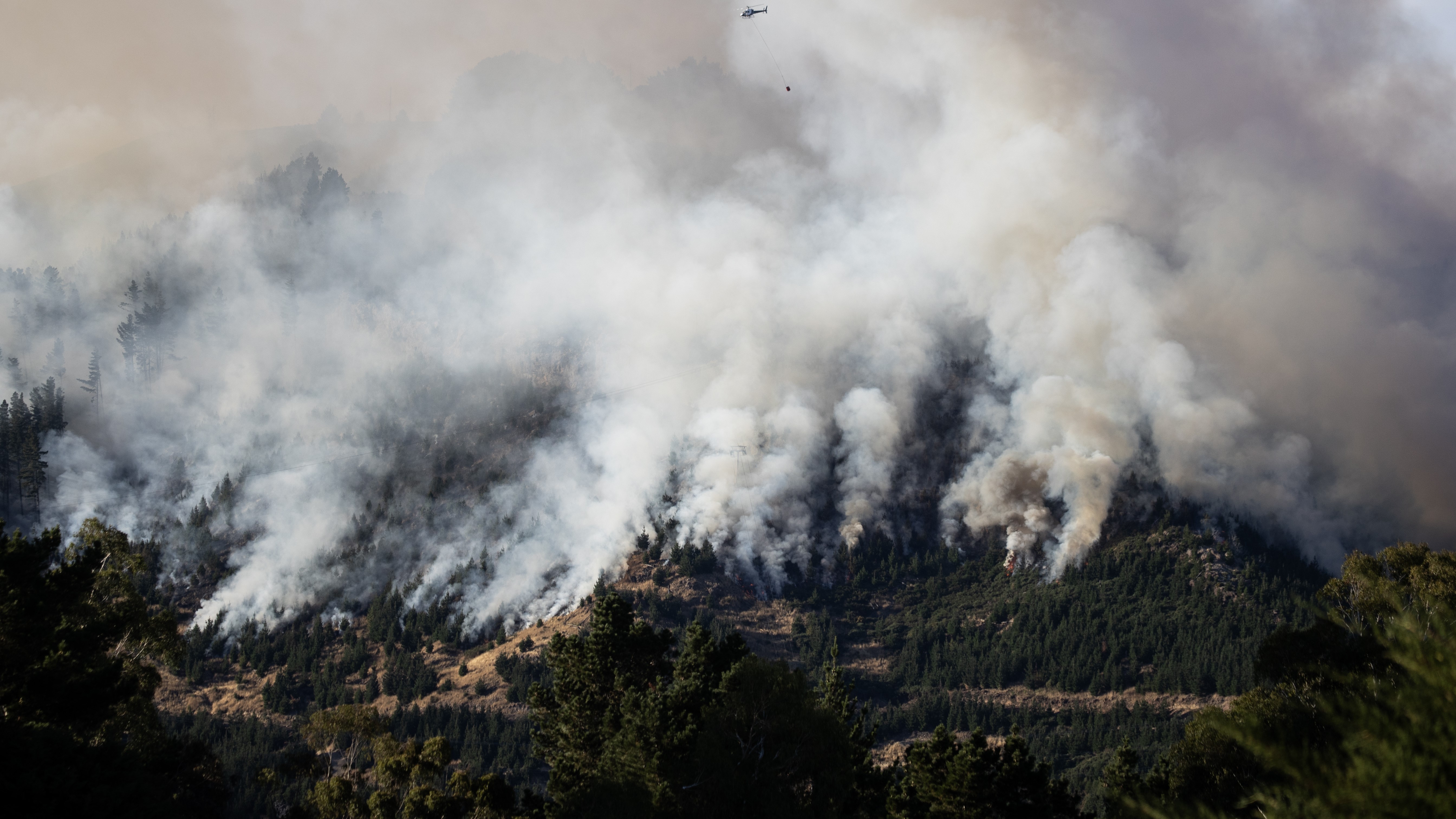 Photo / George Heard