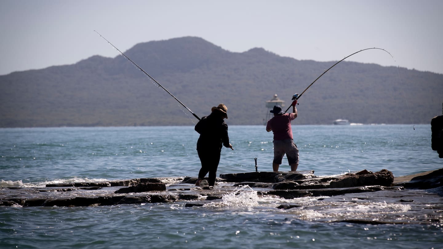 A multimillion-dollar investment is planned to protect and preserve the Hauraki Gulf, Conservation Minister Tama Potaka announced today. Photo / Dean Purcell