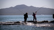 'Bring life back to the water': $26m boost for Hauraki Gulf restoration