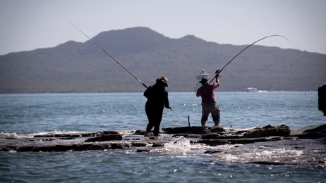 'Bring life back to the water': $26m boost for Hauraki Gulf restoration