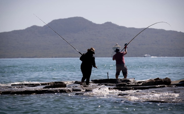 'Bring life back to the water': $26m boost for Hauraki Gulf restoration
