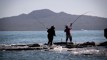 'Bring life back to the water': $26m boost for Hauraki Gulf restoration