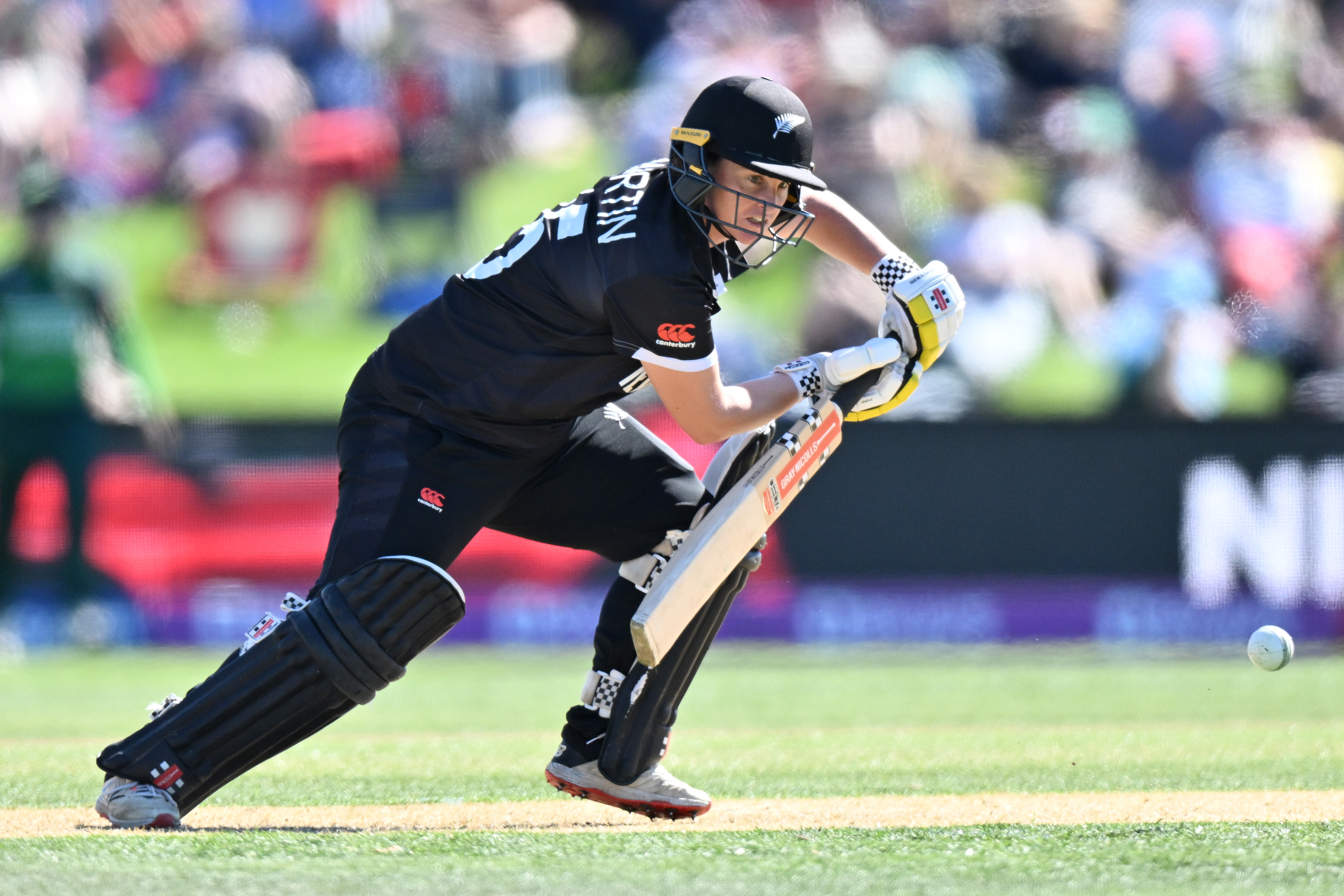 (Photo / Getty Images)