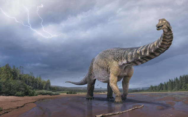 Photo of Les scientifiques ont découvert le plus grand dinosaure d’Australie qui faisait la longueur d’un terrain de basket