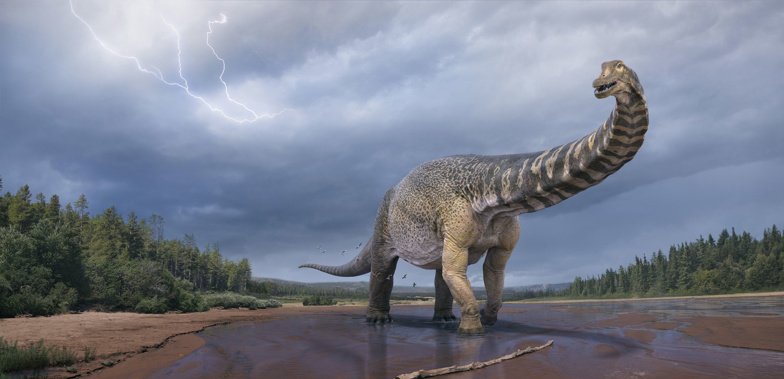 An artist's impression of Australotitan cooperensis, the largest known dinosaur discovered in Australia. (Photo / Eromanga Natural History Museum via CNN)