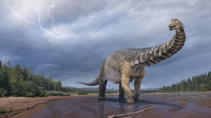 An artist's impression of Australotitan cooperensis, the largest known dinosaur discovered in Australia. (Photo / Eromanga Natural History Museum via CNN)