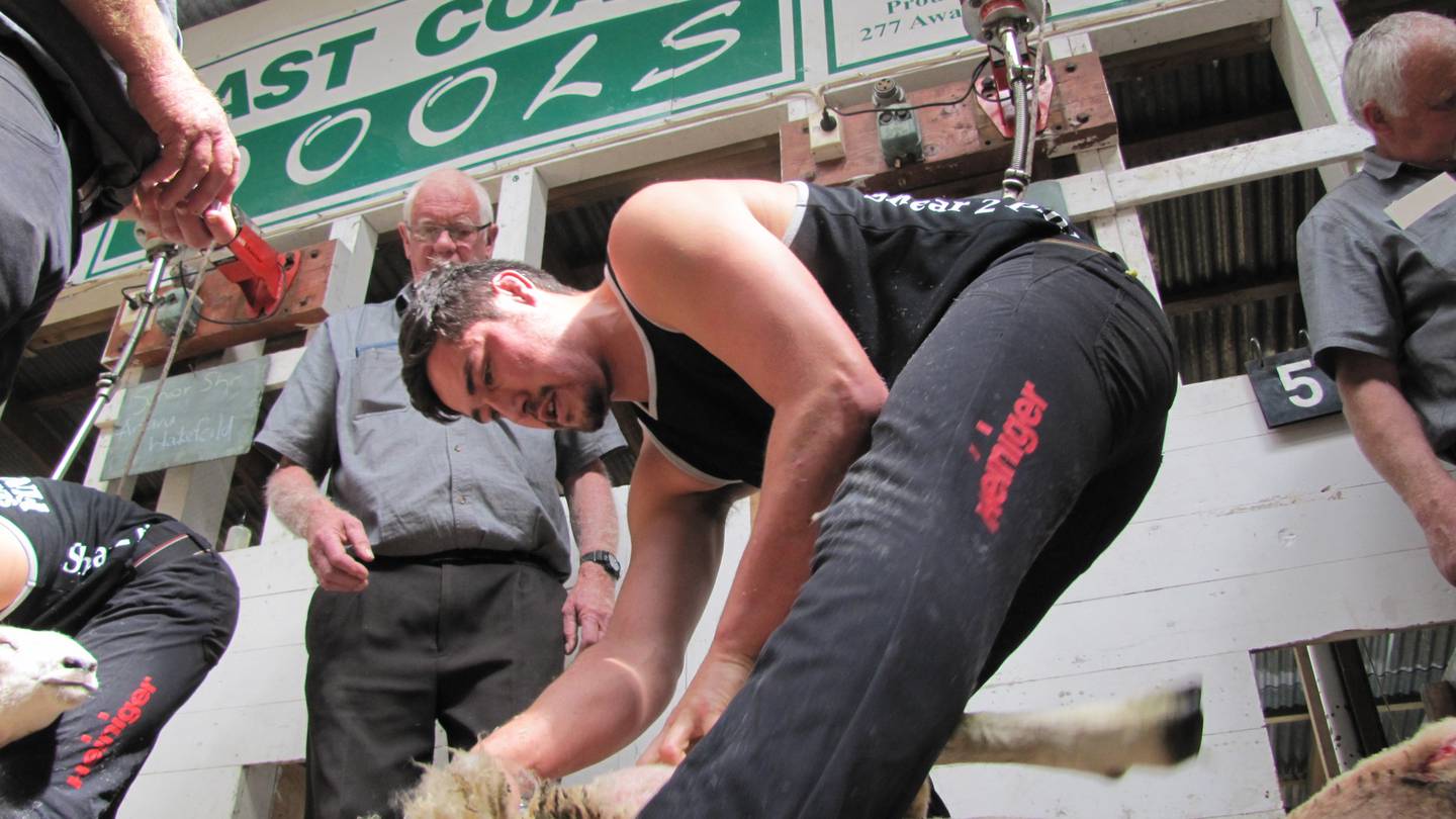 Simon Goss, of Mangamahu, will be attempting the world two-stand strong wool lambs record for eight hours alongside Jamie Skiffington of Rotorua. Photo / SSNZ