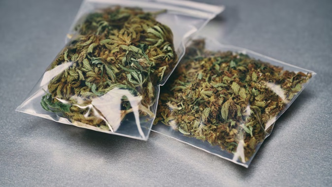 Veronica Verwey dealt in cannabis 34 times in a five-month period.