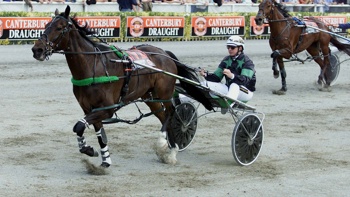 Canadian Harness Racer Joins the NZ Leg of the World Drivers Championship