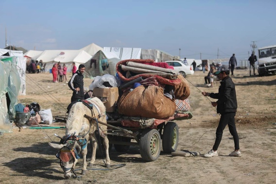 A Palestinian displaced by Israel's air and ground offensive in the Gaza Strip arrives at a temporary camp near Kerem Shalom crossing in Rafah. Photo / AP