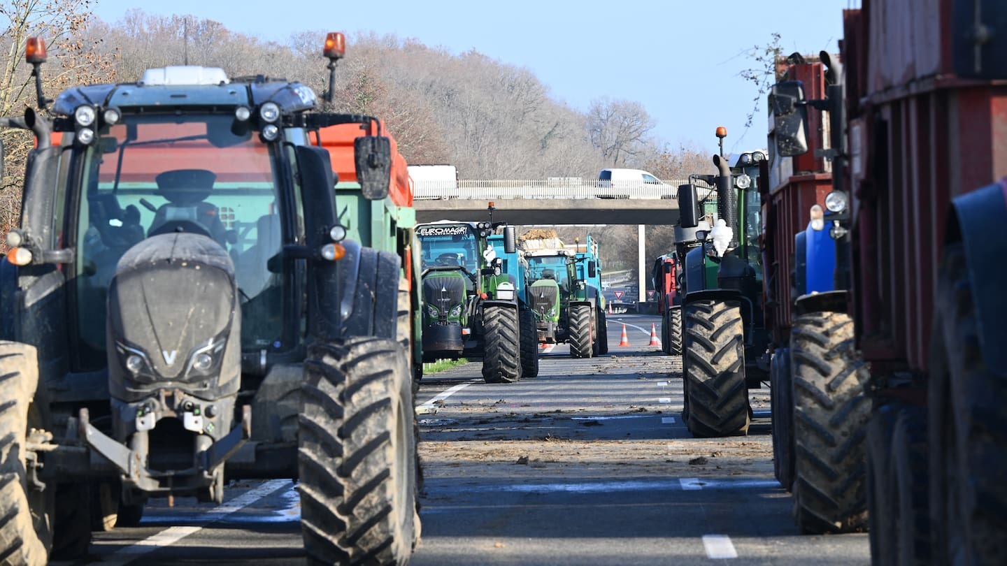 French farmers spray manure, keep up roadblocks over cow 'mass slaughter'