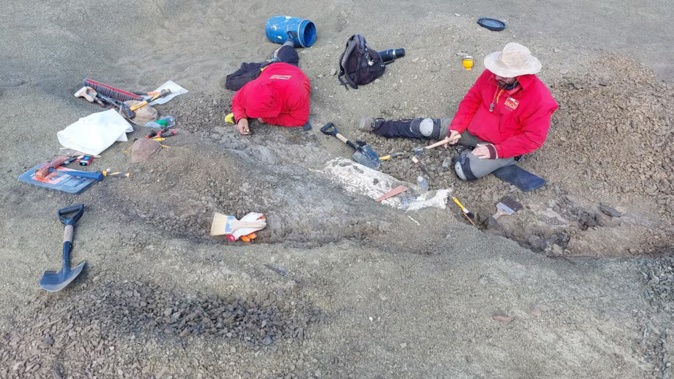Scientists discovered a mouse-sized mammal fossil from the Upper Cretaceous period in Chilean Patagonia. Photo / Hans Puschel, AFP