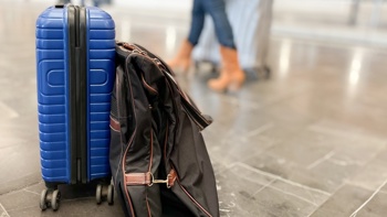 Snake found in Christchurch traveller’s luggage after holiday in Bali
