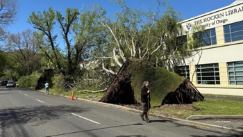 Communities rally after wild storm leaves thousands without electricity for days