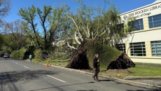 Southland and Otago residents dig deep as spring snow and days-long power cuts test resilience