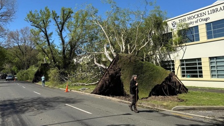 Southland and Otago residents dig deep as spring snow and days-long power cuts test resilience