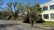 Communities rally after wild storm leaves thousands without electricity for days