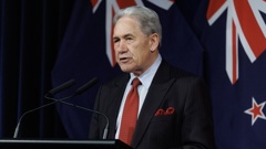 Foreign Minister Winston Peters is today addressing the United Nations General Assembly in New York. Photo / Mark Mitchell