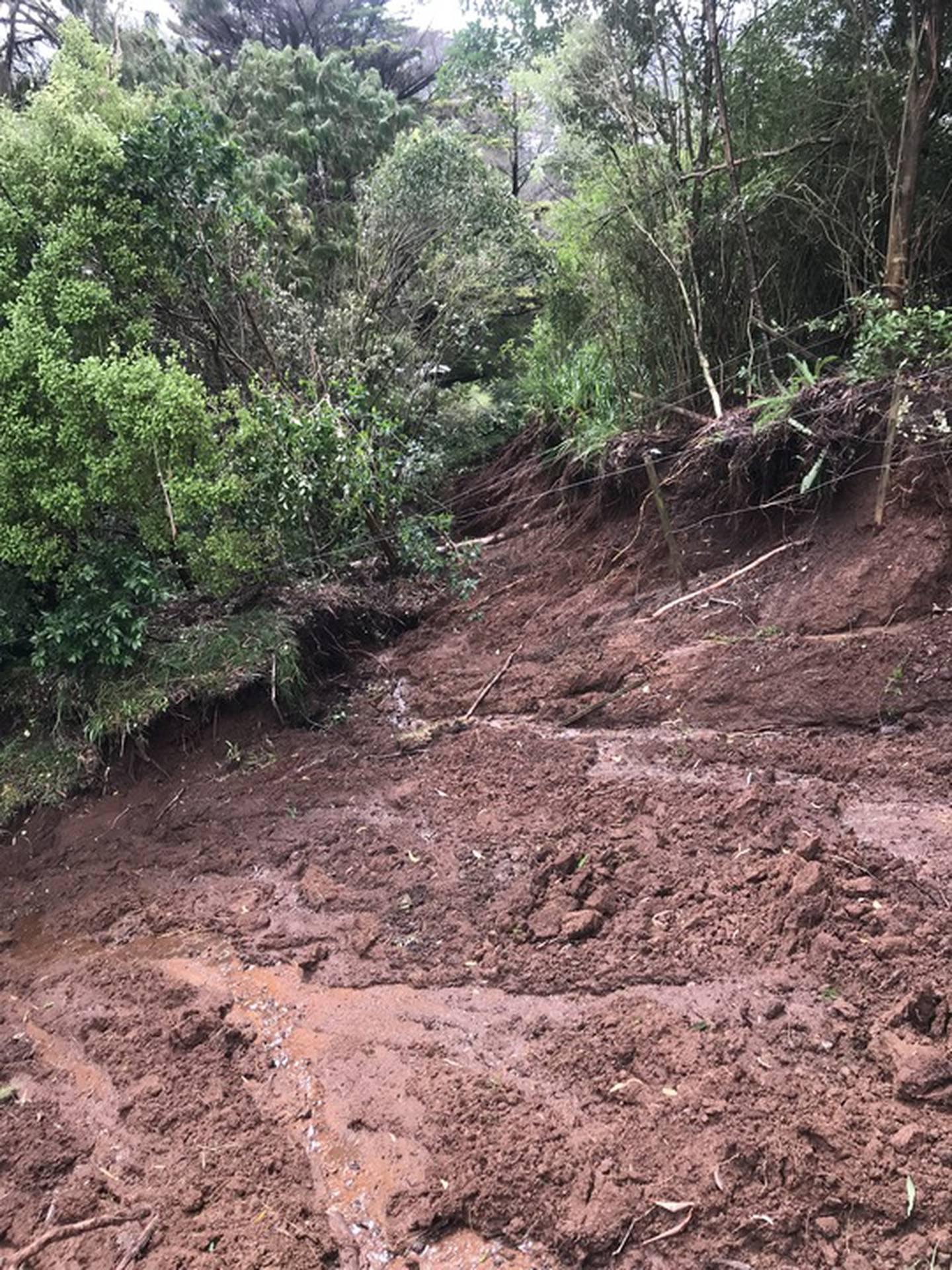 The slip, estimated by the homeowner to be 20m x 40m. Photo / supplied