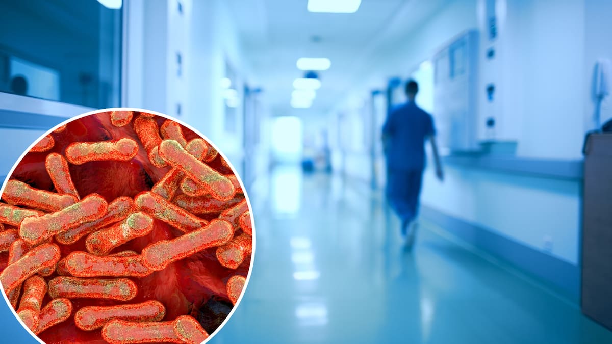 Diphtheria outbreak across the ditch: How worried should Kiwis be?