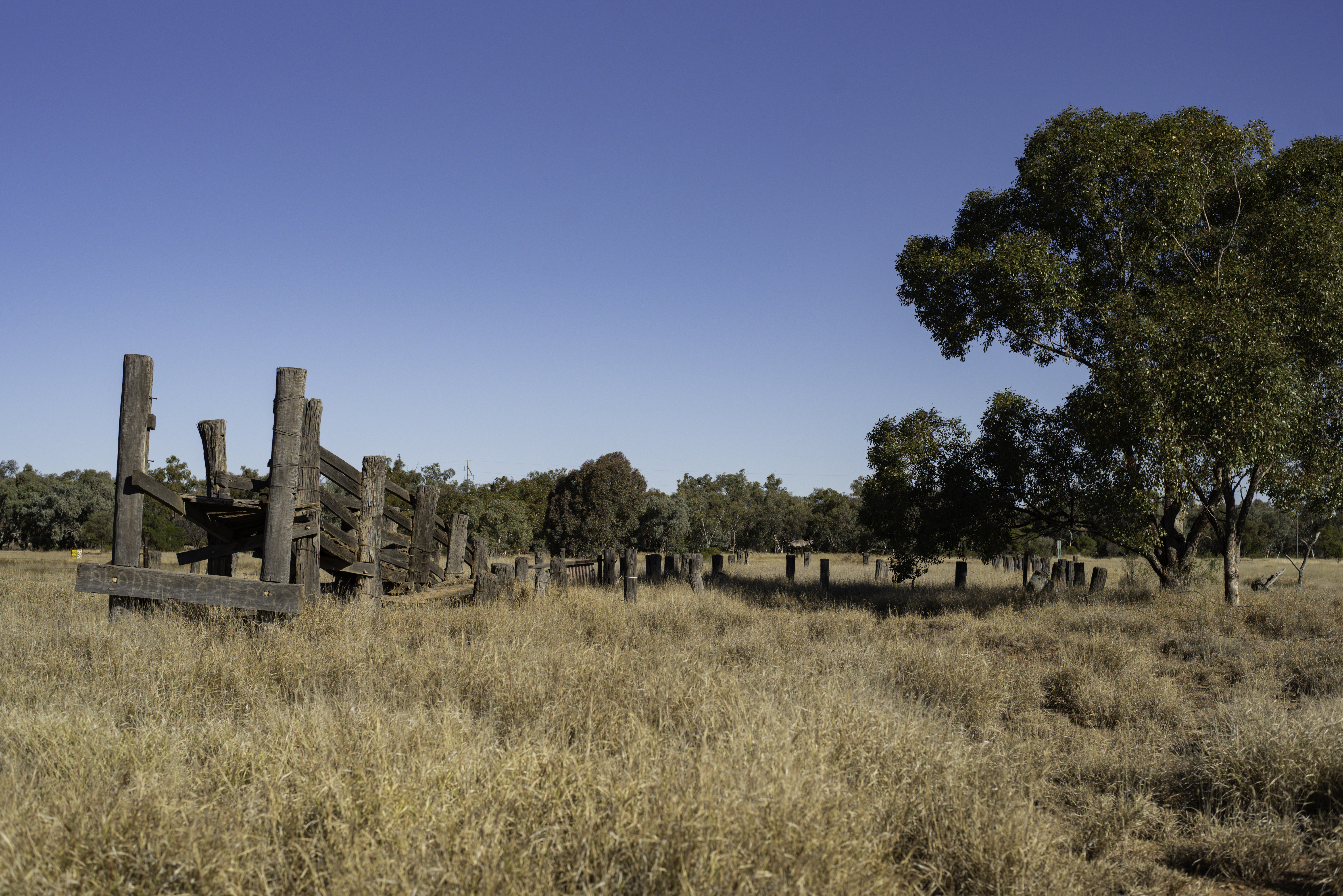 Australia's smallest town goes up for sale 