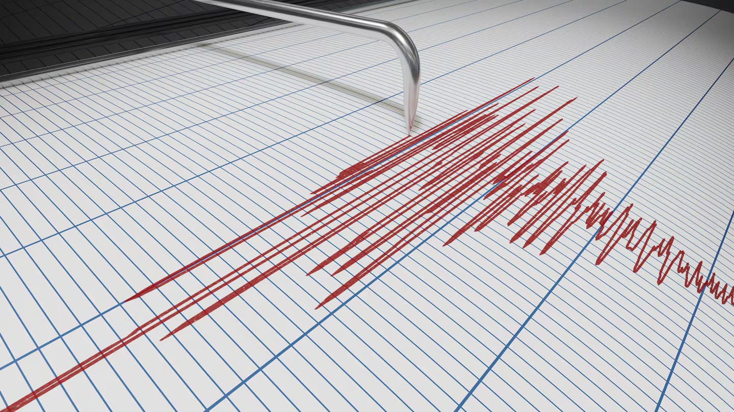 Small quake wakes Wellington