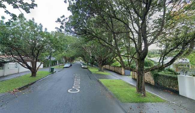 Coronation Rd residents have been left shaken after the incident on their usually quiet street. Photo / Google Maps