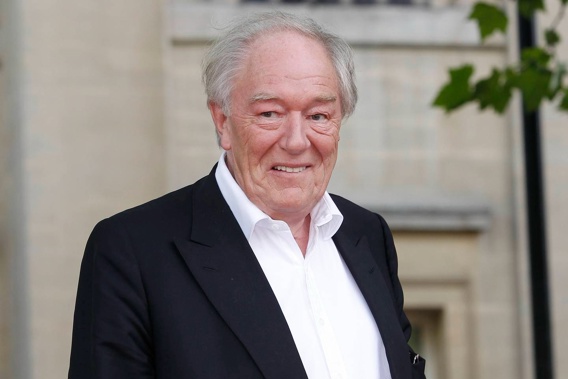 British actor Michael Gambon, known to many for his portrayal of Hogwarts headmaster Albus Dumbledore has died. (Photo / AP)