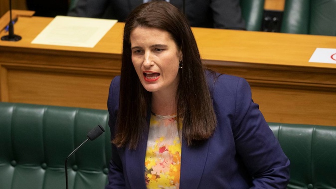 National's finance spokesperson Nicola Willis. Photo / Mark Mitchell