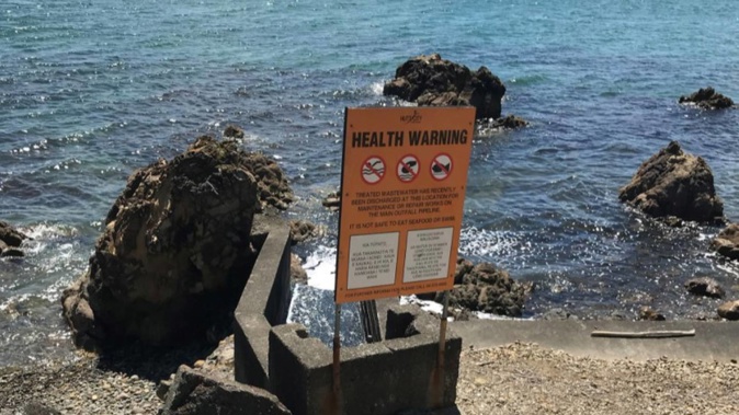The wastewater was discharged more than 400 metres from Days Bay Beach. (Photo / Wellington Water)