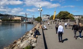 Wellington waterfront, alongside Frank Kitts Park. Photo / Mark Mitchell