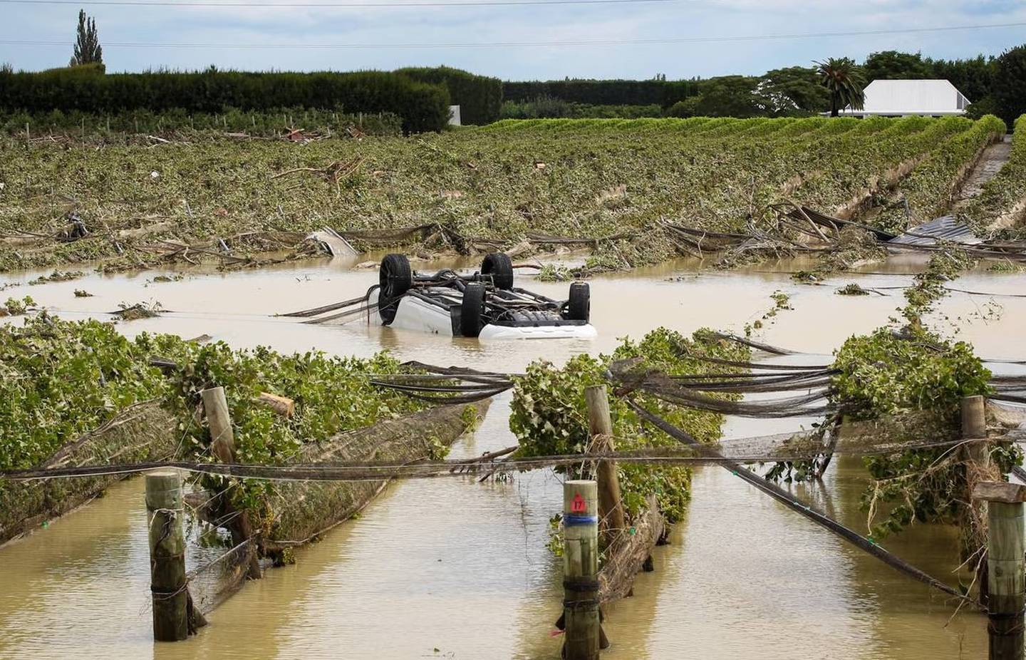 Cyclone Gabrielle has ripped through Hawke's Bay, destroying livelihoods and costing lives. Photo / Paul Taylor