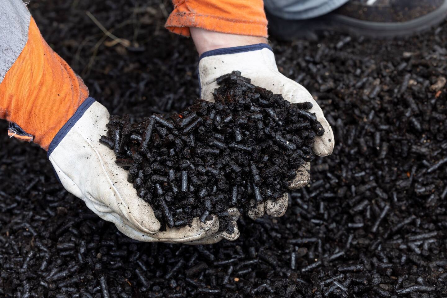 Genesis Energy says black pellets could be an alternative fuel source for its Huntly Power Station.