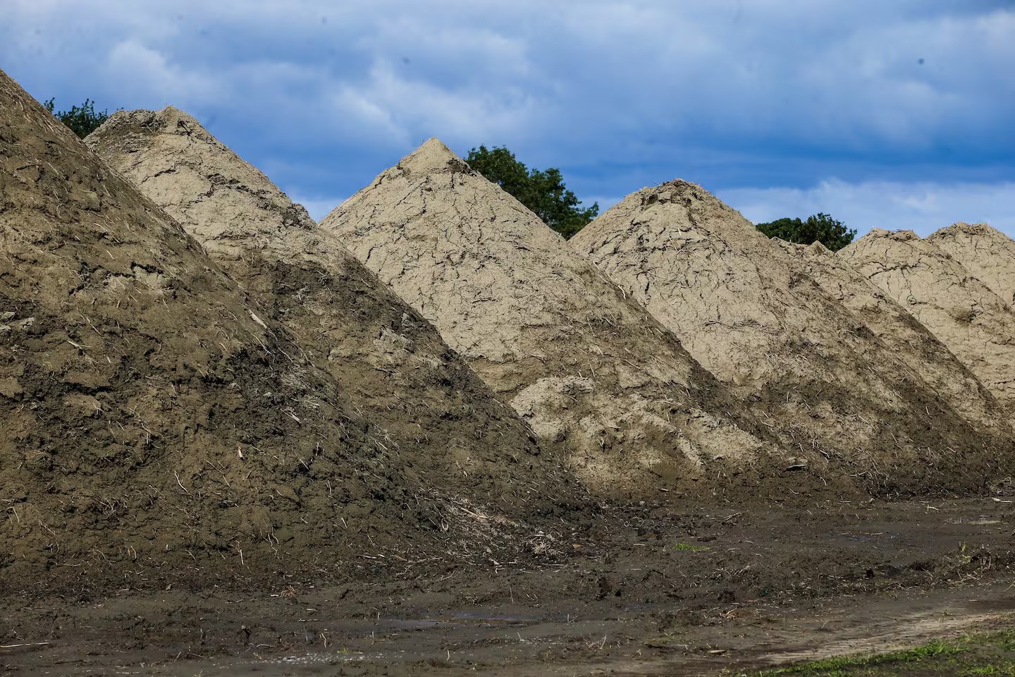 Silt left behind by Cyclone Gabrielle built into mountains on the devastated orchard lands and vineyards of the area. Photo / Paul Taylor.