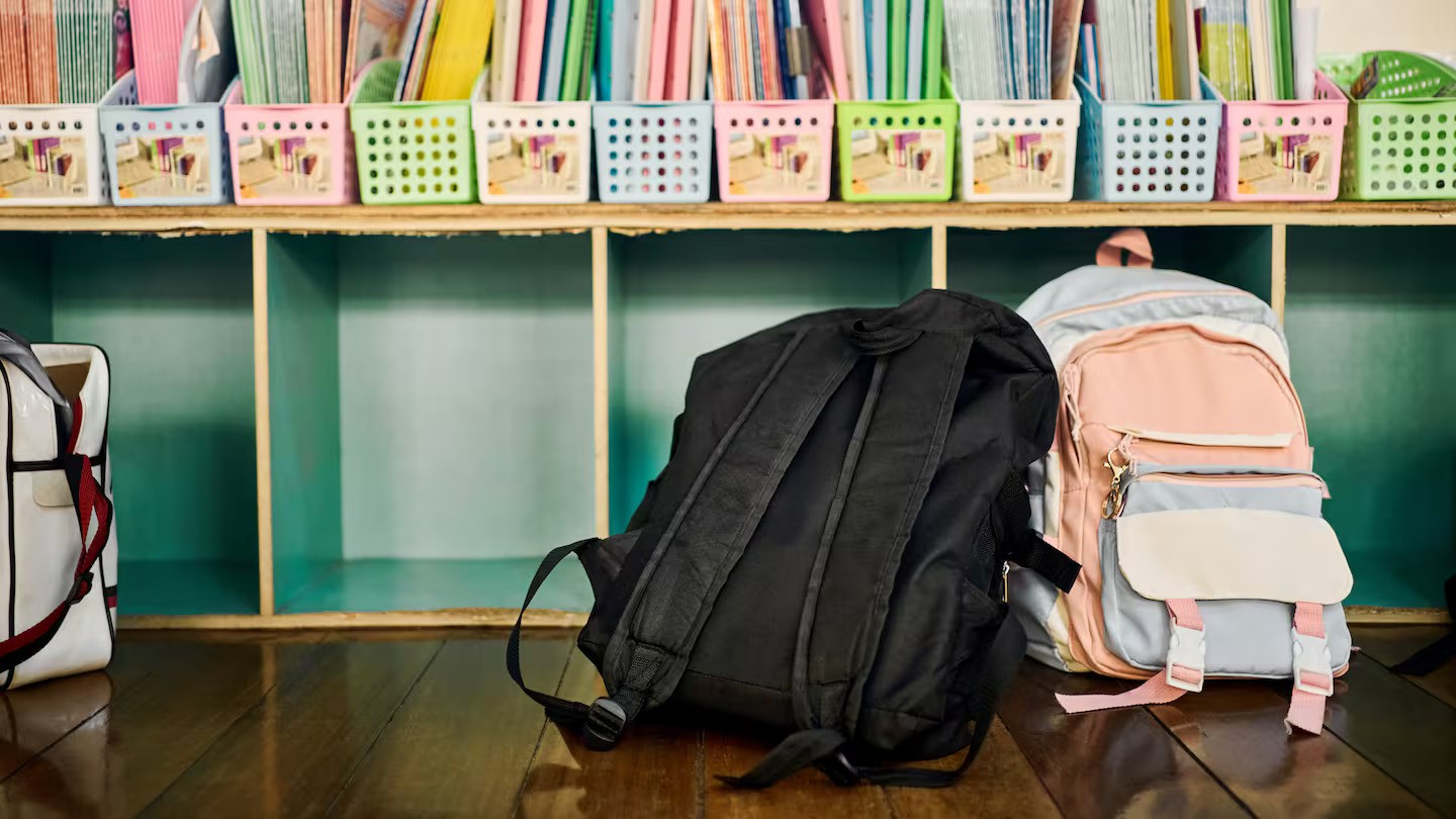 Auckland teacher Lisa Edmondson banned from teaching after posting videos of her urinating online