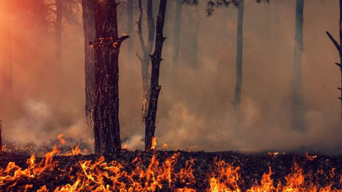 A prepare-to-leave warning has been issued for the Lakeland area where more than 300 people reside. Photo / 123rf