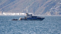 Police dive team searches for missing diver in Wellington Harbour