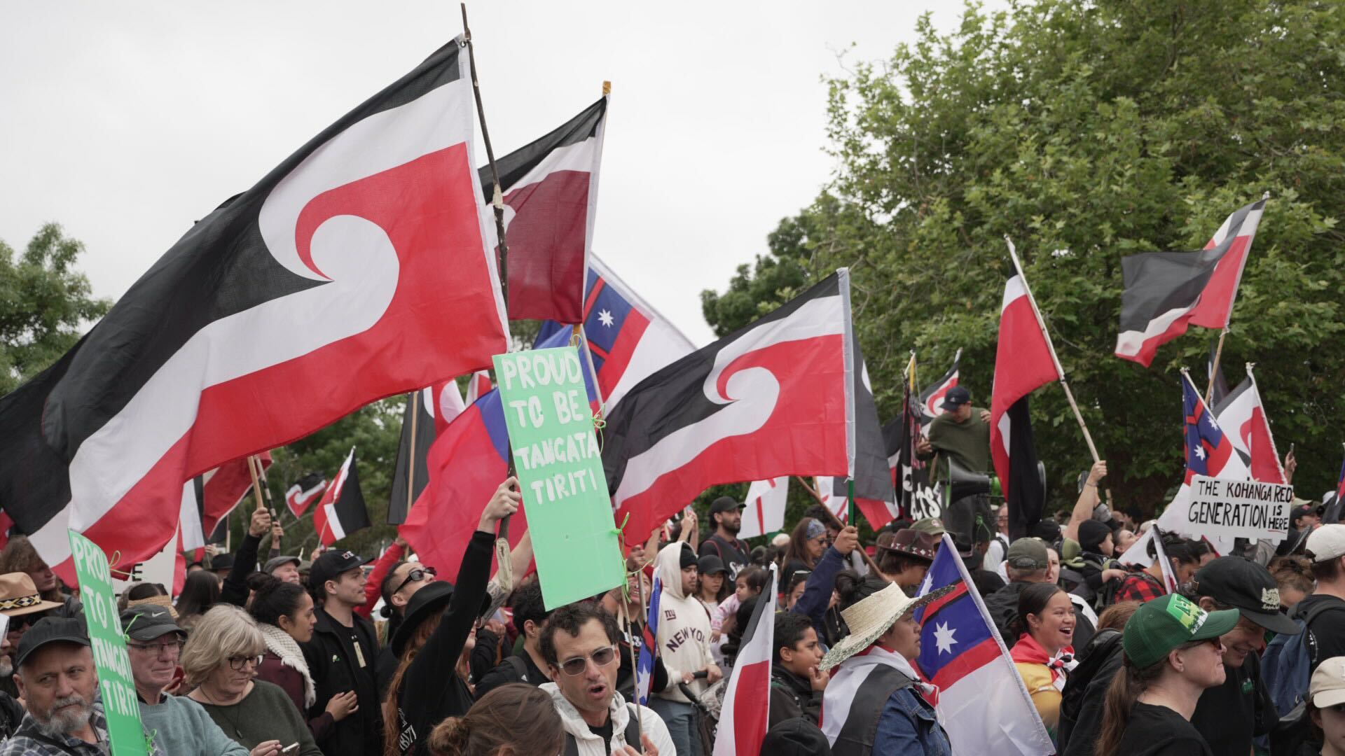  Photo / Carson Bluck