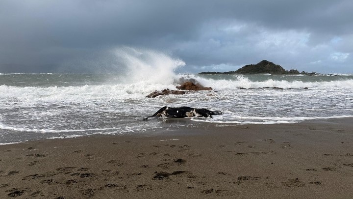 Weather live updates: Hawke’s Bay soaked, Moutoa floodgates opened to ease pressure as rain pushes north