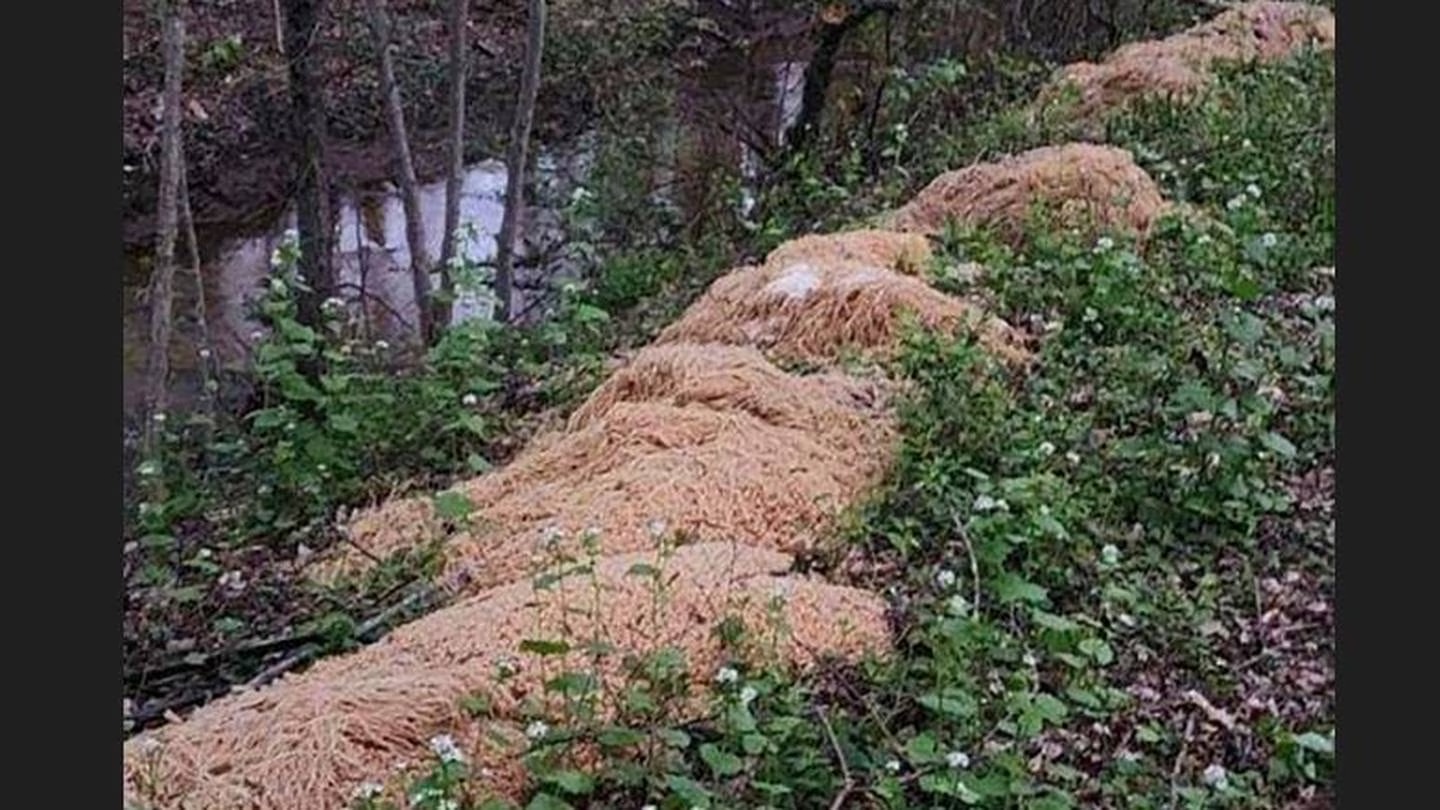 Hundreds of pounds of pasta that was dumped near a stream in New Jersey. Photo / AP