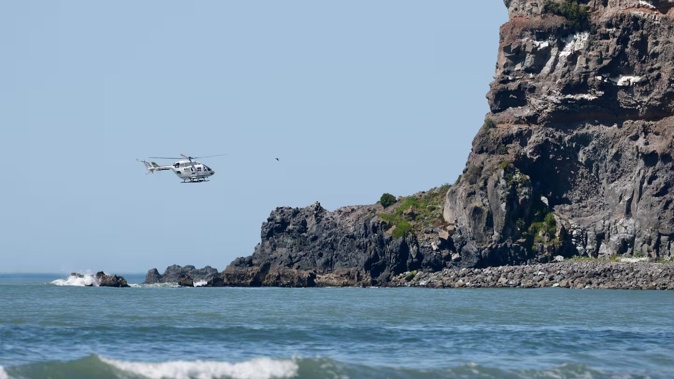 A helicopter was enlisted to help with today's operation. Photo / George Heard
