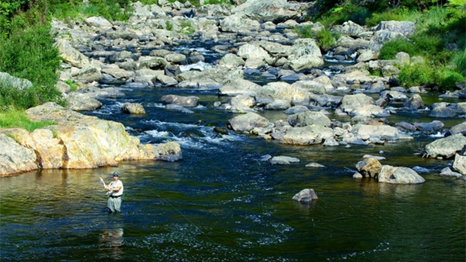 Fly fishing in the Karangahake Gorge. Photo / Destination Coromandel