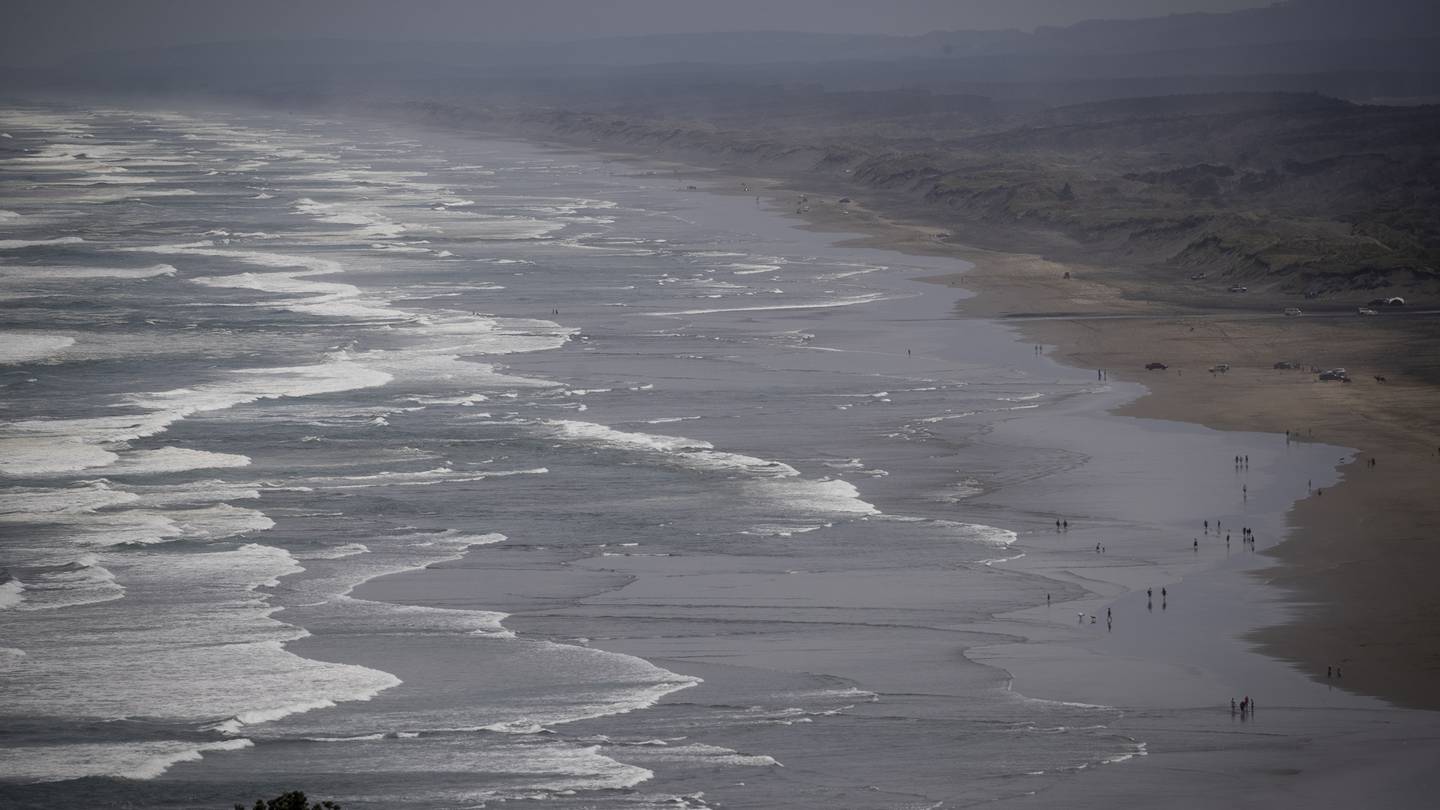 File Photo / Dean Purcell