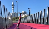 Flamingo will release a small number of scooters onto Auckland streets this week, then have a mass launch in the last week of July.