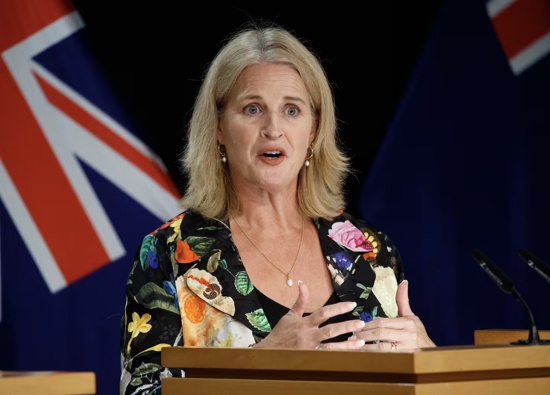 Social Development and Employment Minister Louise Upston. Photo / Mark Mitchell