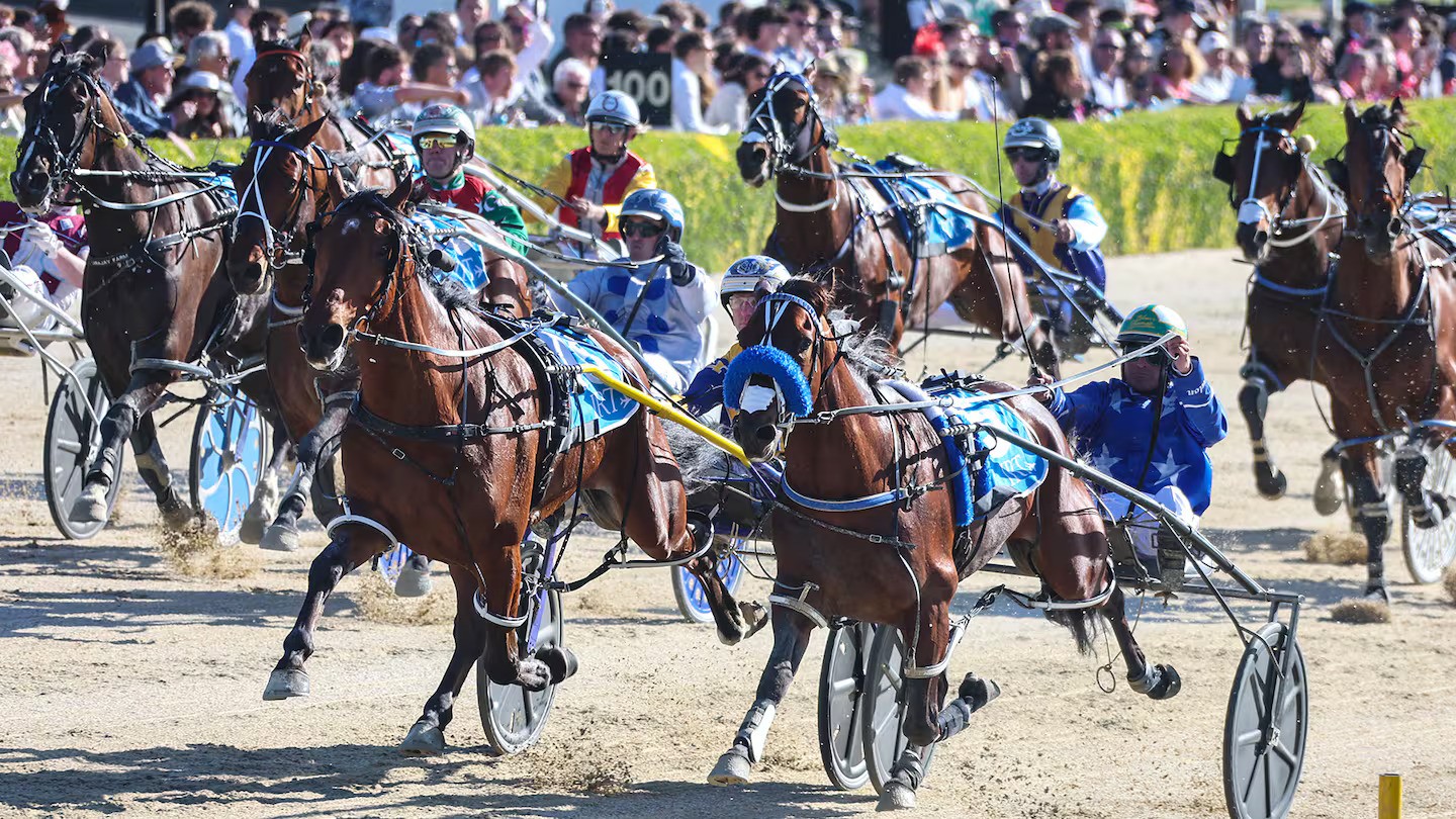 NZ Cup week: What can fans expect? 