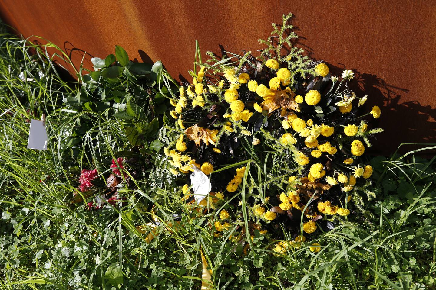 Photo / Michael Cunningham