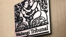 Waitangi Tribunal says Government's change to Oranga Tamariki Act will create 'actual harm'