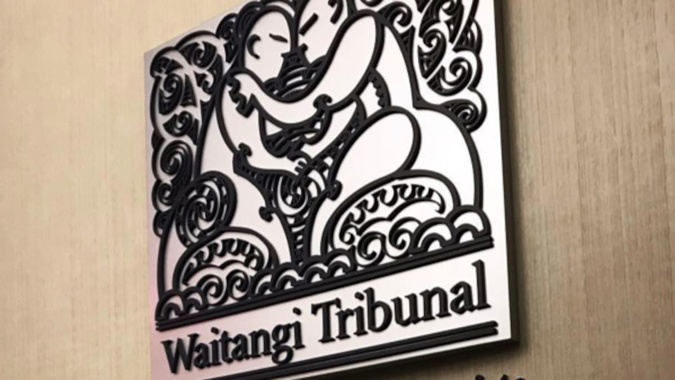 Waitangi Tribunal says Government's change to Oranga Tamariki Act will create 'actual harm'