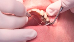 Photo / Mark Mitchell